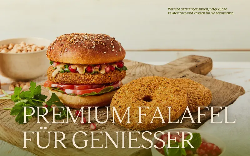 Website Zalin Falafel
